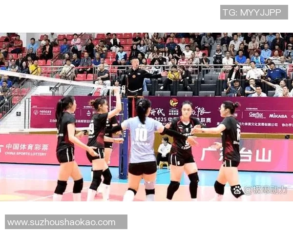 西安排球队的意识探讨与排球战术创新的深度分析