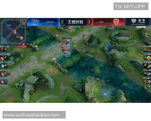 王者荣耀战术分析：深入探讨TES战队边路渗透策略与执行技巧